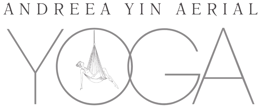 Andreea Yin Aerial Yoga